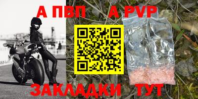 не бодяженный Сланцы