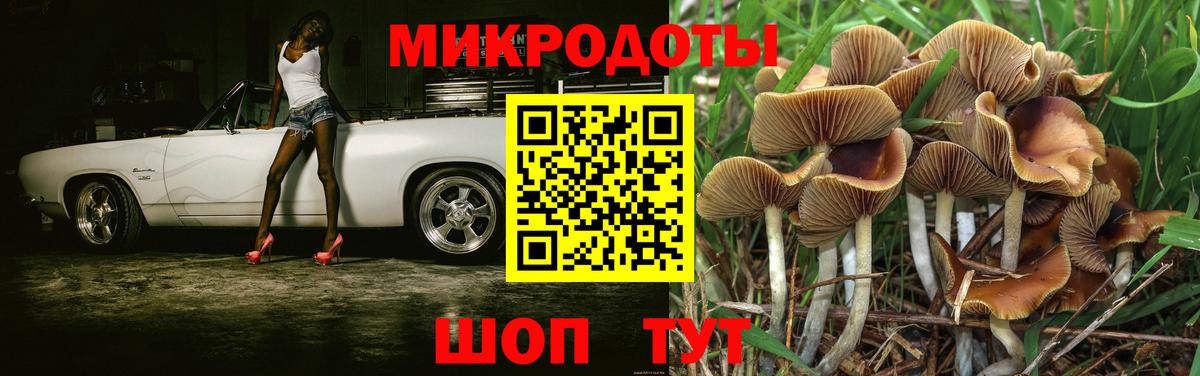 Галлюциногенные грибы мицелий Нефтекамск